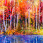 "Vibrant Autumn Trees: Semi-Abstract Oil Painting of Aspen Trees by the Lake."