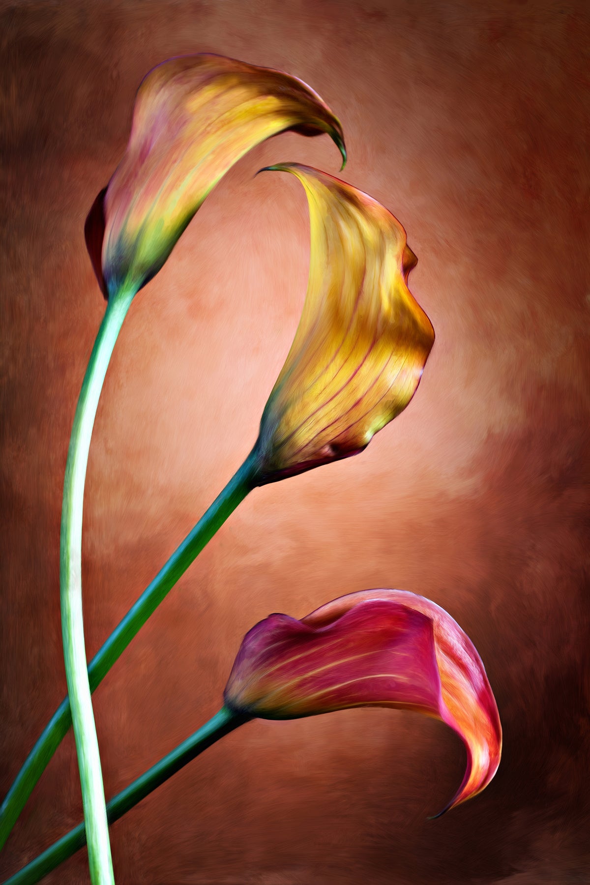 Vibrant Tulip Dreams: Abstract Floral Fusion in Bold Colors