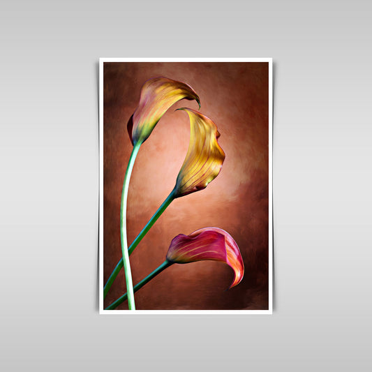 Vibrant Tulip Dreams: Abstract Floral Fusion in Bold Colors