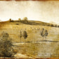 "Vintage Landscape: A Picture in Retro Style, Capturing Nostalgia."