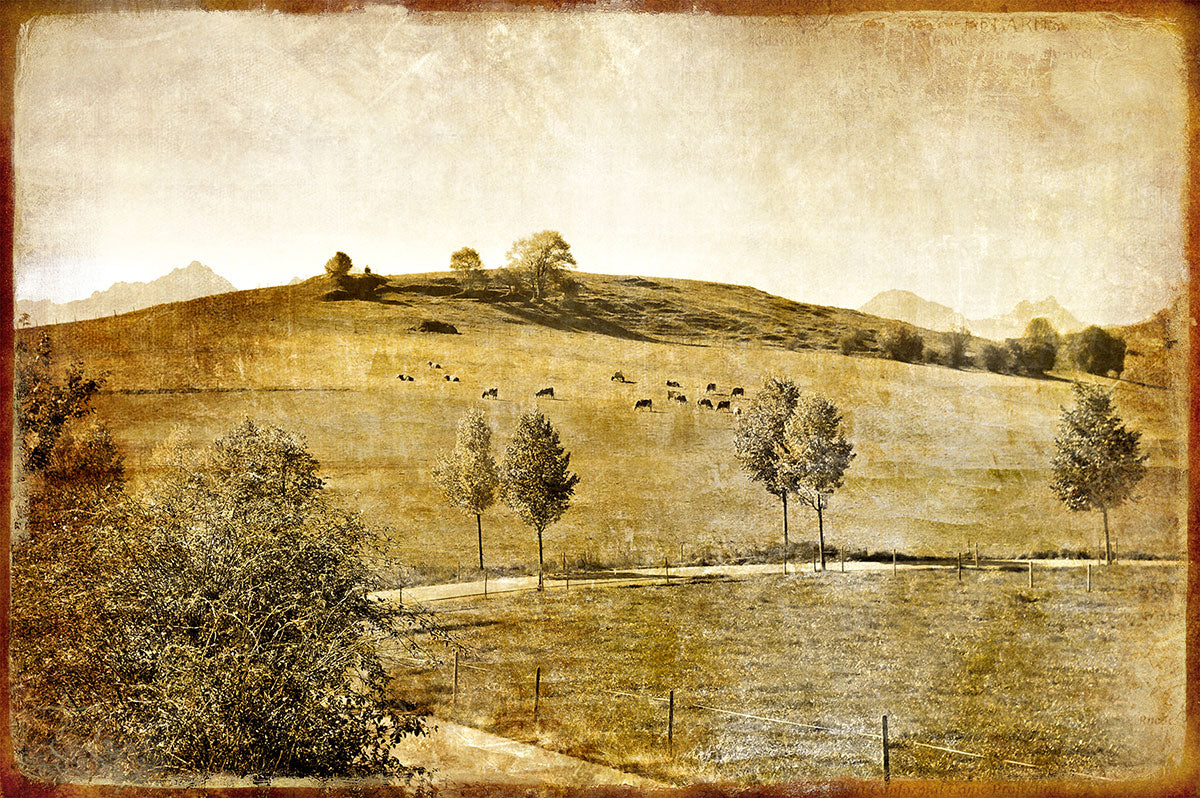 "Vintage Landscape: A Picture in Retro Style, Capturing Nostalgia."