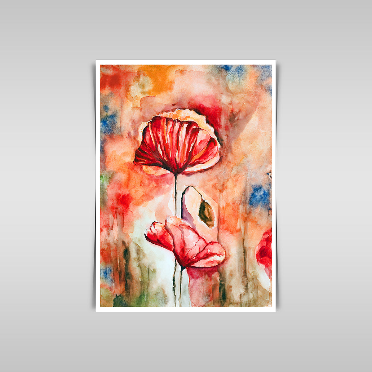 "Blossoming Poppies: A Watercolor Rendering of Poppy Flowers and Buds."