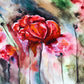 "Blossoming Poppies: A Watercolor Rendering of Poppy Flowers and Buds."