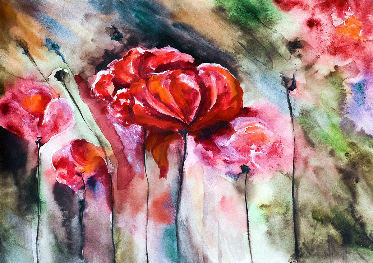 "Blossoming Poppies: A Watercolor Rendering of Poppy Flowers and Buds."