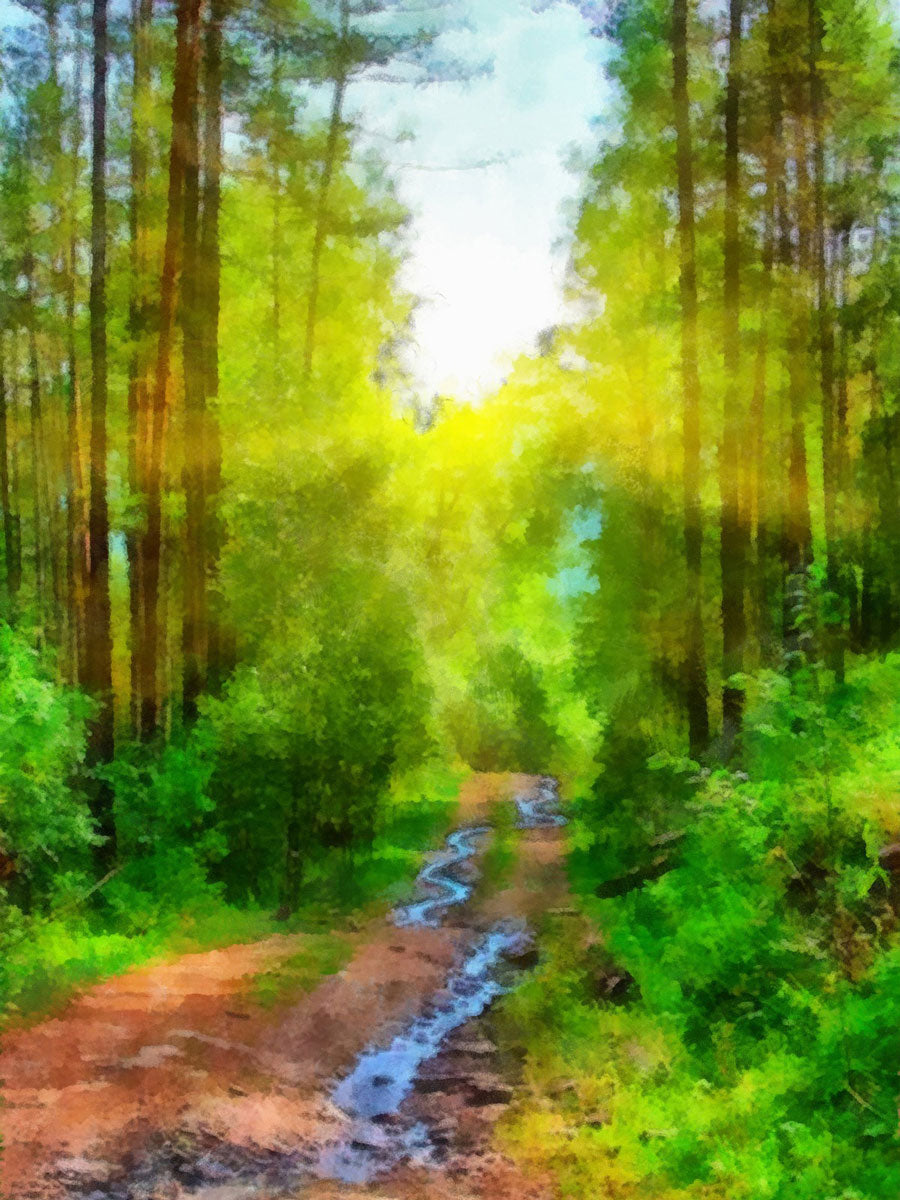 "Sunny Summer Landscape: A Digital Painting's Vibrant Interpretation."