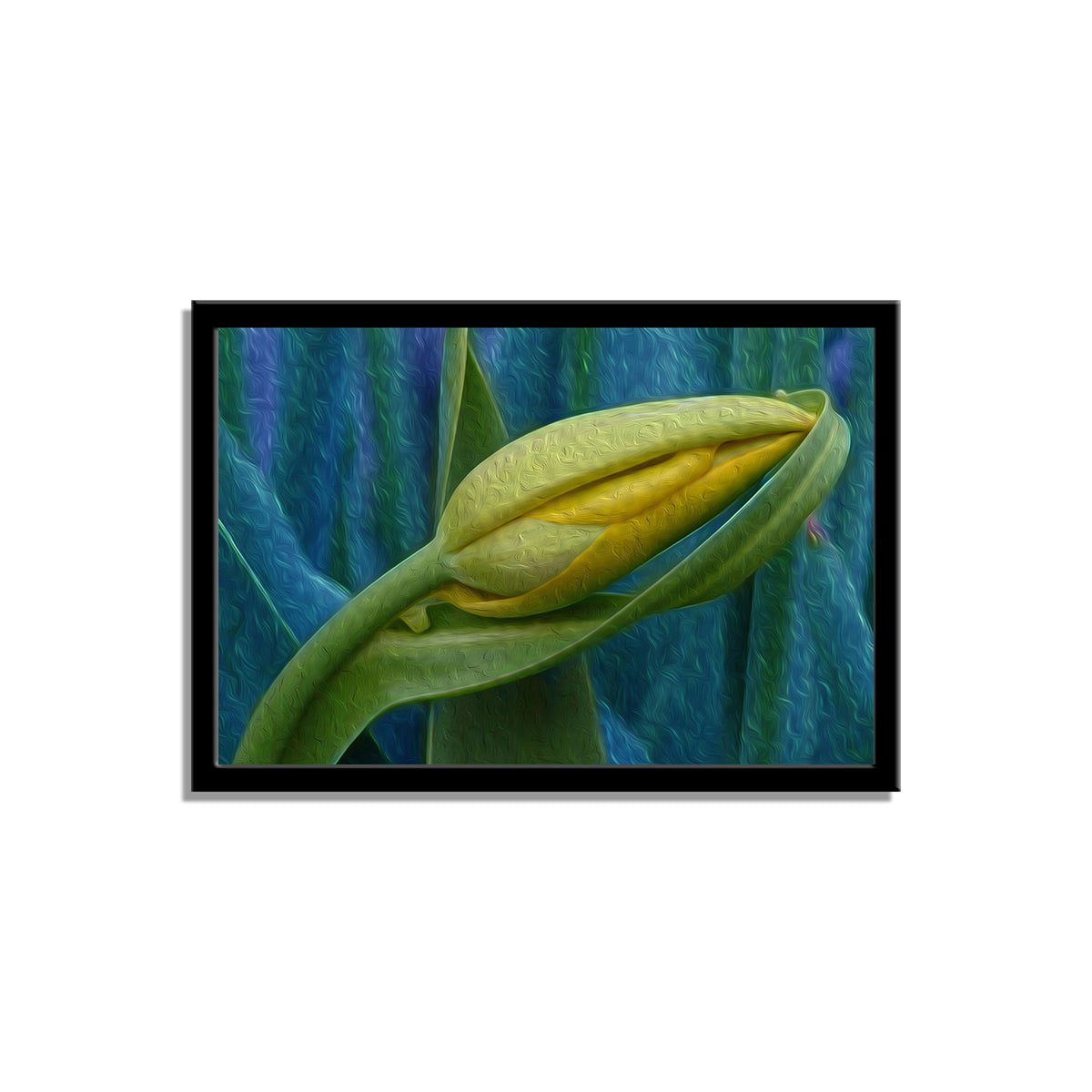 Tulip: A Photographic Art Oil Painting Celebrating Floral Beauty.