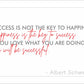 Success is not the key to happiness. Happiness is the key to success. If you love what you are doing, you will be successful