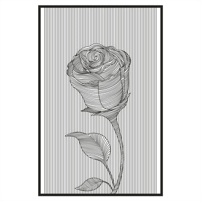 Rose Line Art Illustration