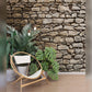 Rustic Stone Wall