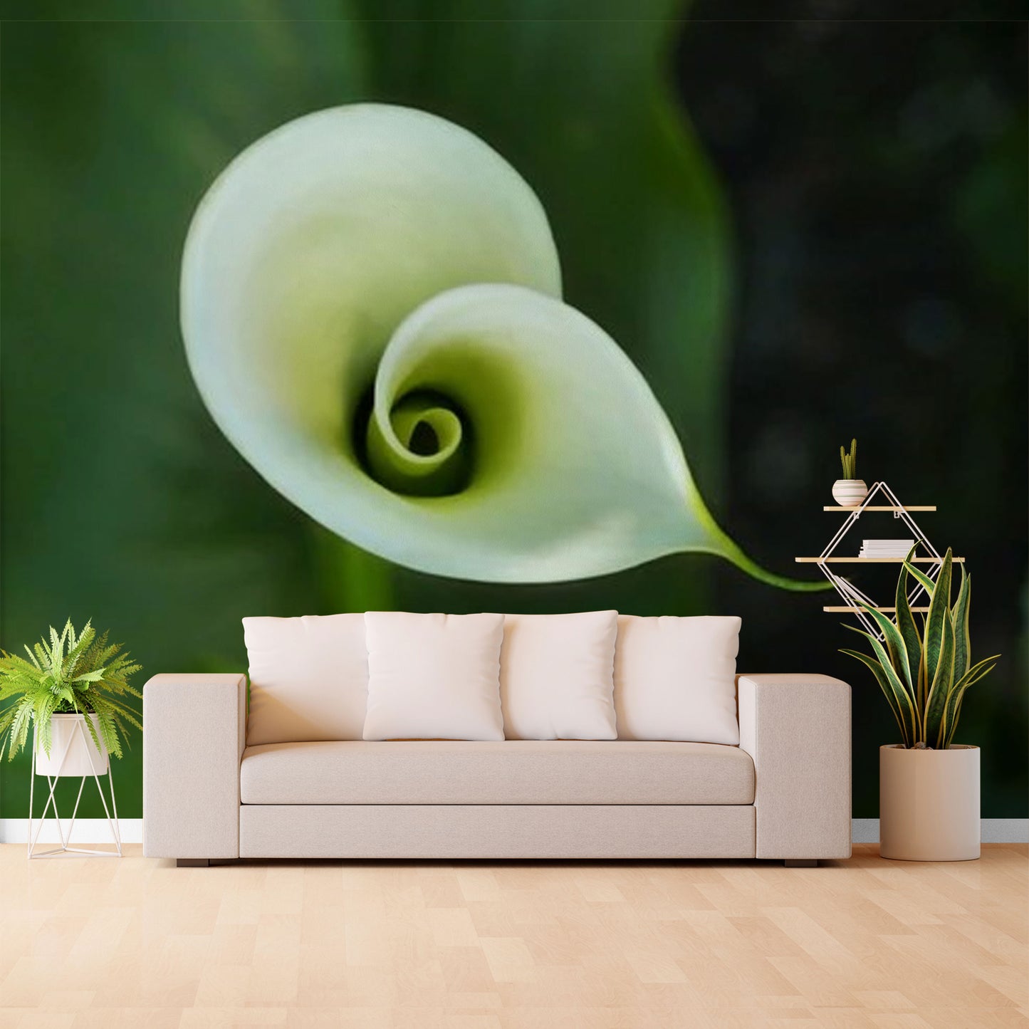 Elegant Spiral