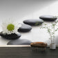 Zen Simplicity