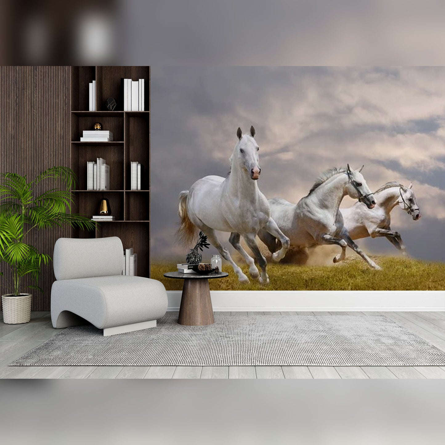 Galloping Freedom: Trio of White Horses in Motion