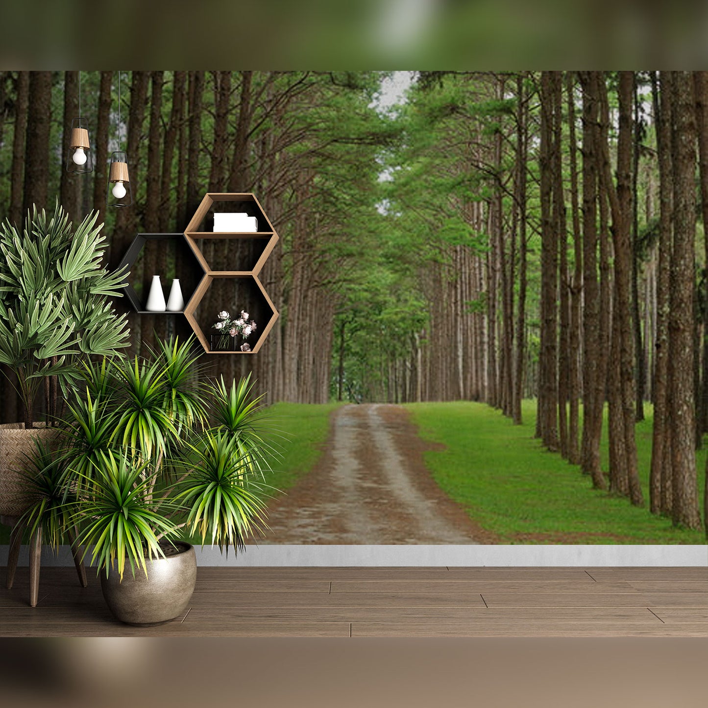 Serene Pine Forest Pathway