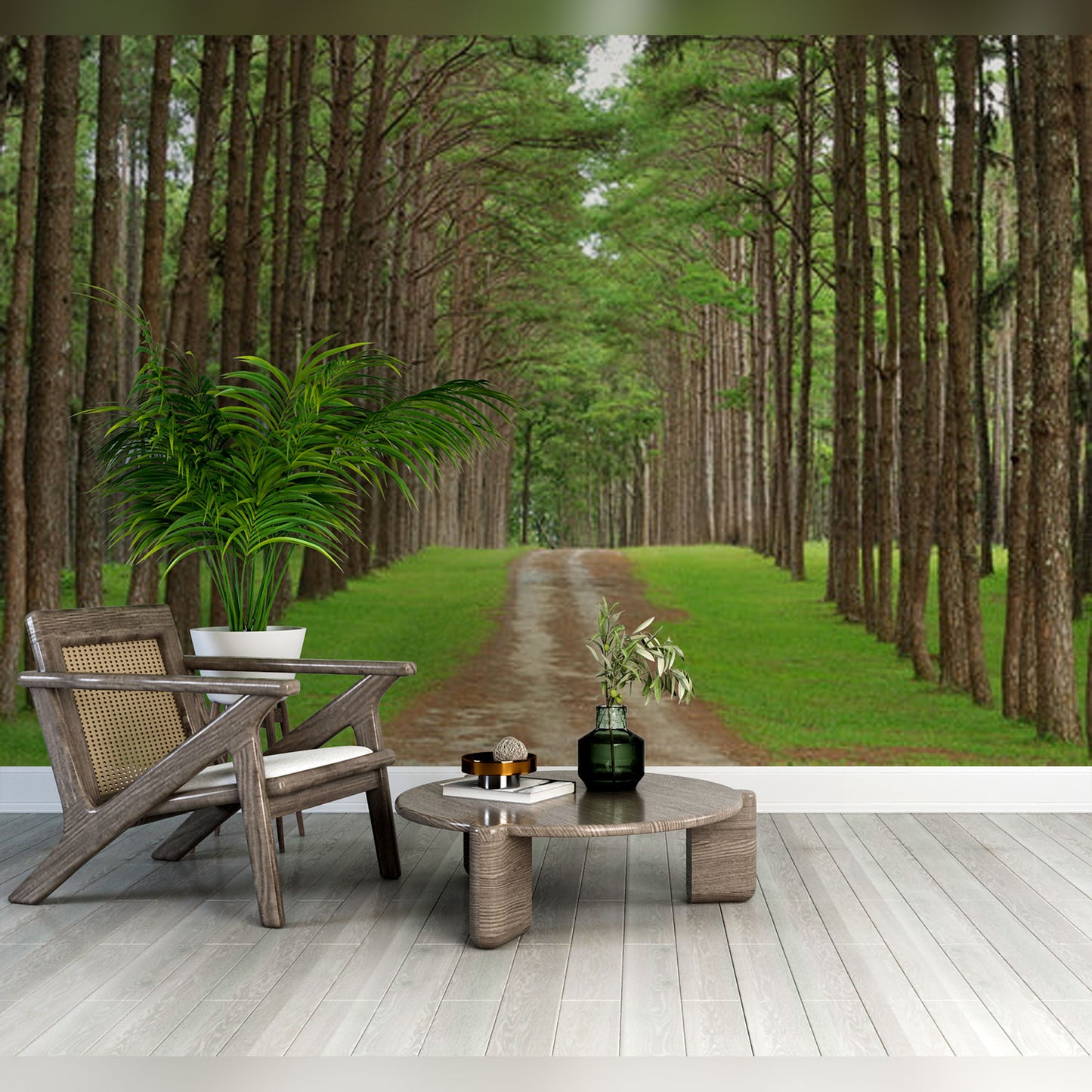 Serene Pine Forest Pathway