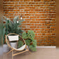 Textured Red Brick Wall