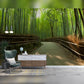 Peaceful Path Through Bamboo Forest