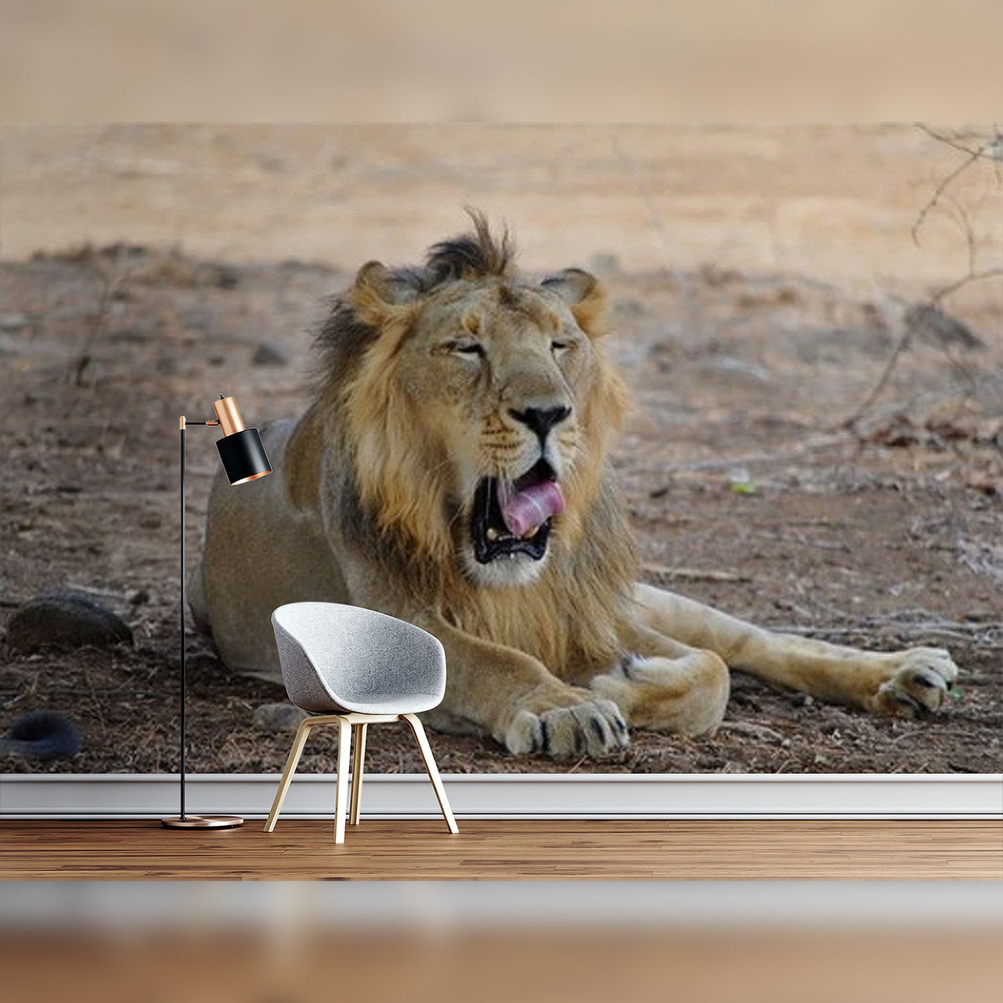 Relaxed Lion in the Wild