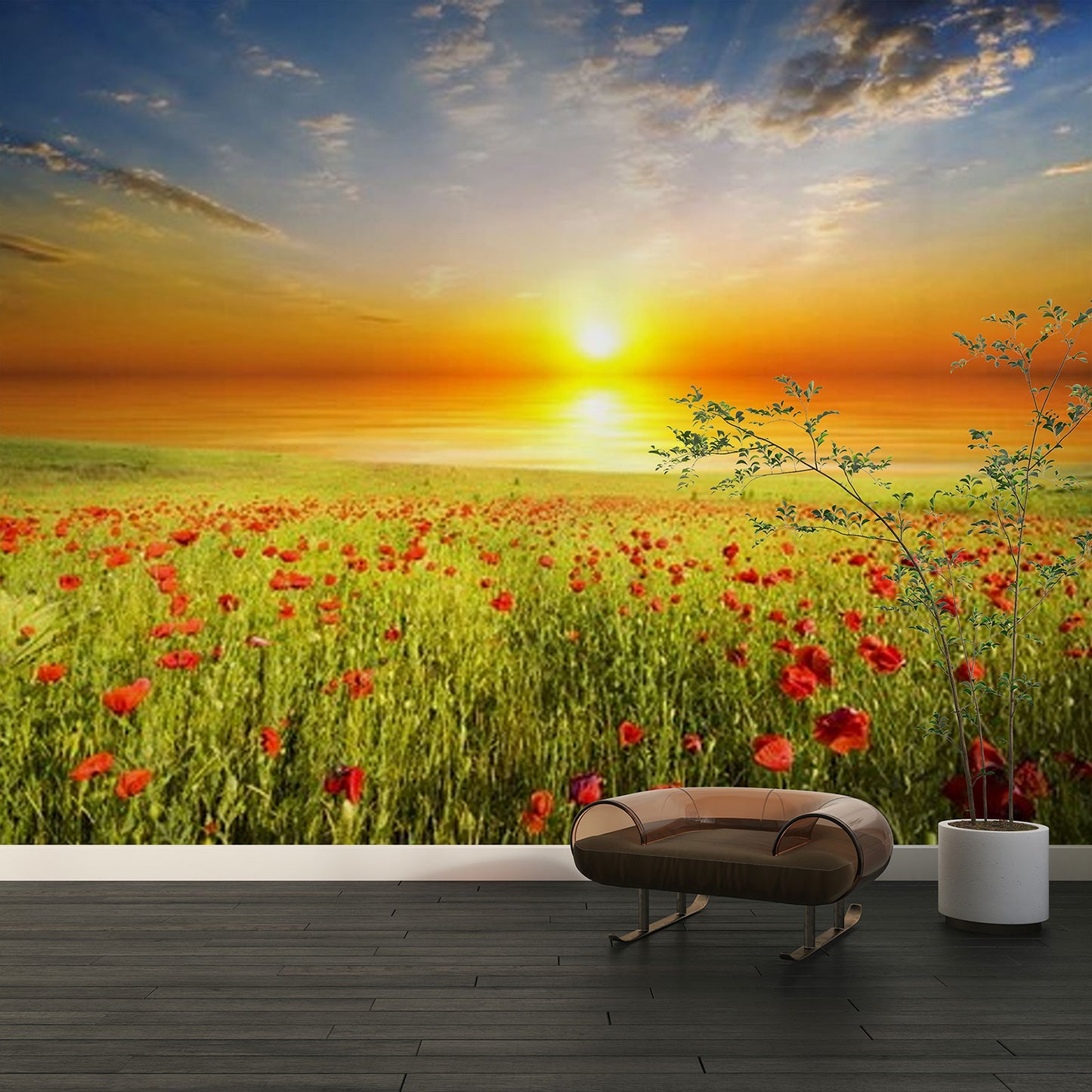 Sunrise Over a Field of Red Poppies