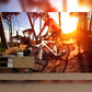 Focused Mountain Biker on a Dusty Trail