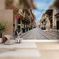 Charming European Street with Historic Architecture