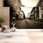 Quiet Cobblestone Street in Sepia Tones