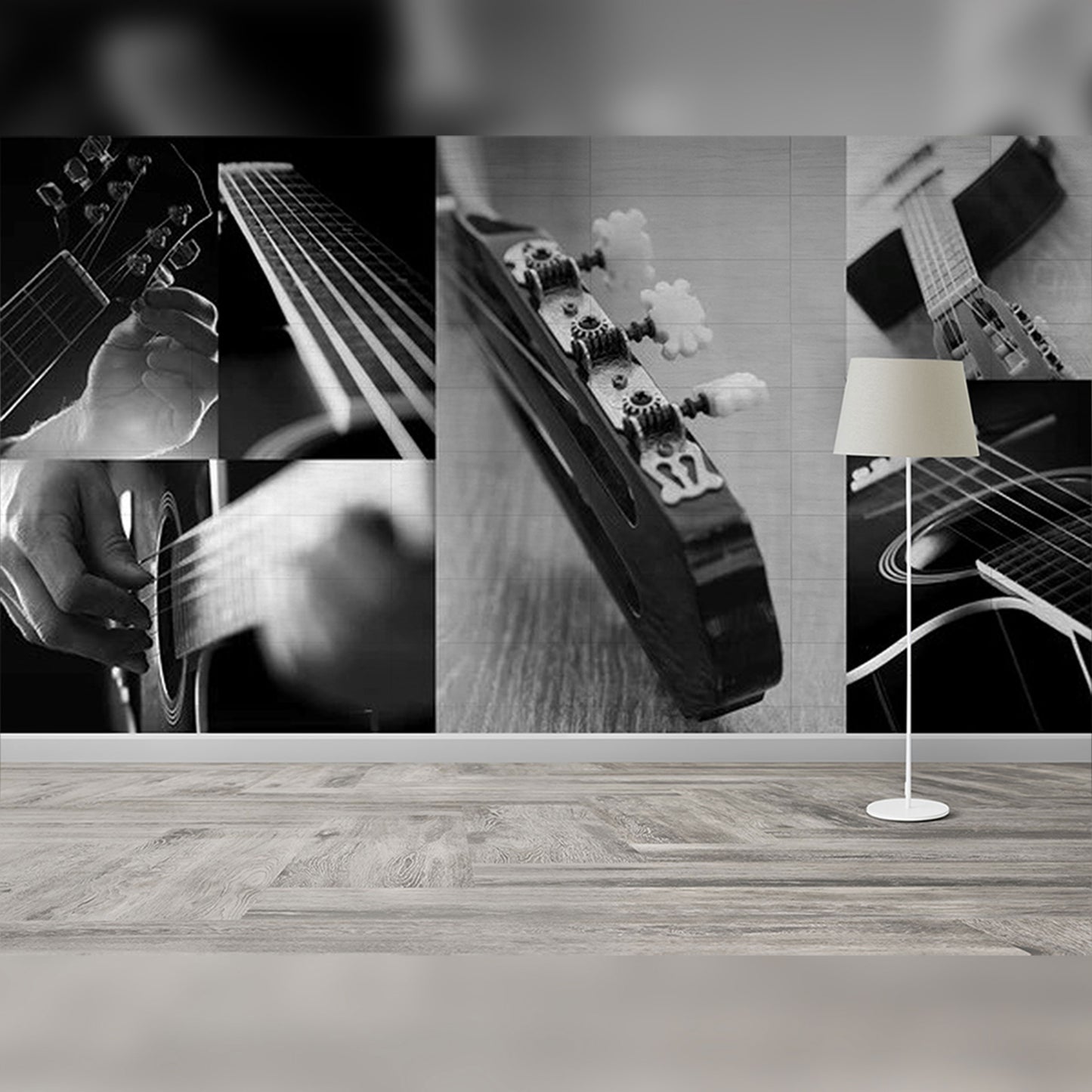 The Art of Guitar: A Black and White Study