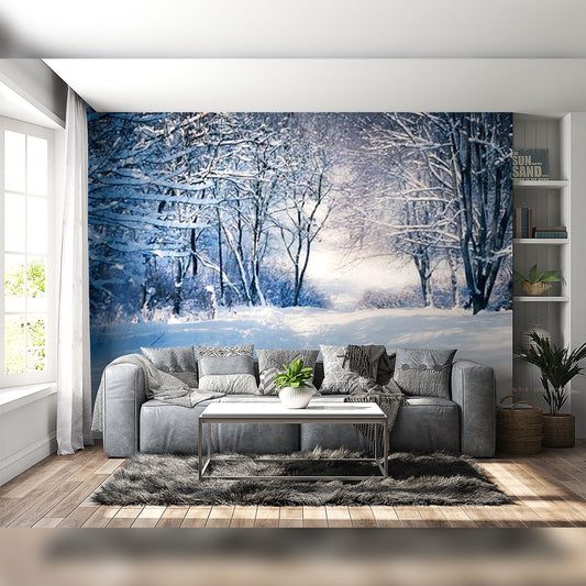 Winter Wonderland Living Room: A Cozy Snowy Escape