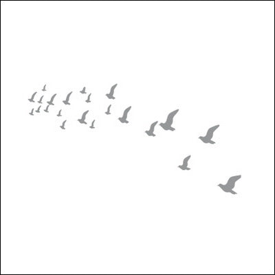 0006-Flying Birds