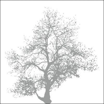 0165-Tree Silhouette Portrait