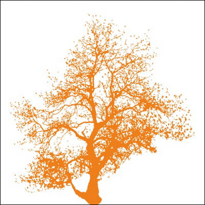 0165-Tree Silhouette Portrait