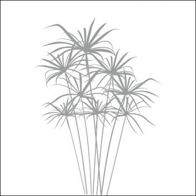 0173-Papyrus Plant Design