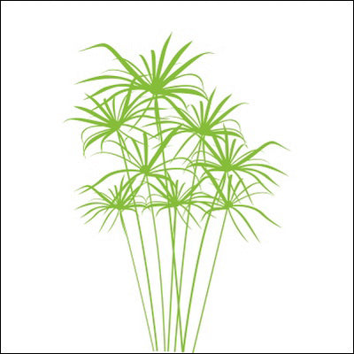 0173-Papyrus Plant Design