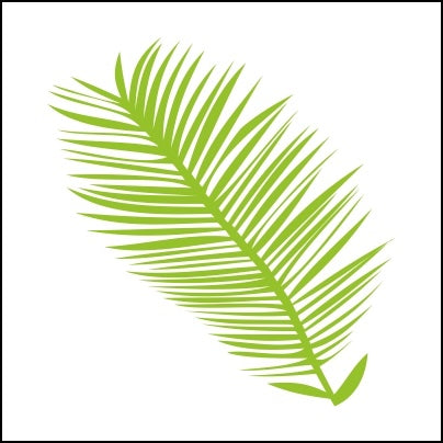 0242-Single Palm Frond