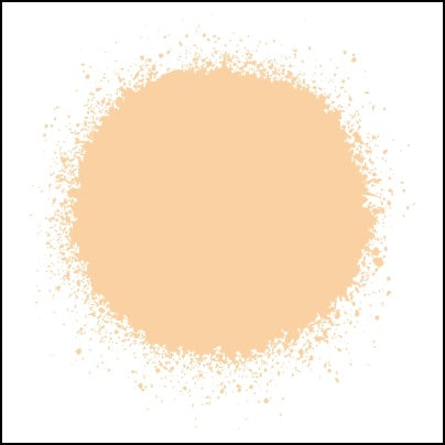 0377-Orange Circle Paint Design