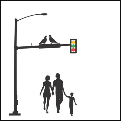 0427-Family, Birds And Traffic Light