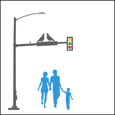 0427-Family, Birds And Traffic Light