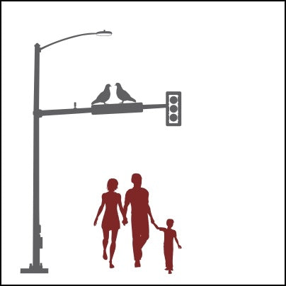 0427-Family, Birds And Traffic Light