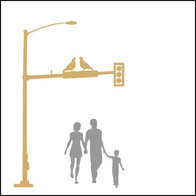 0427-Family, Birds And Traffic Light