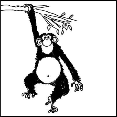 0503-Monkey Swinging From A Branch