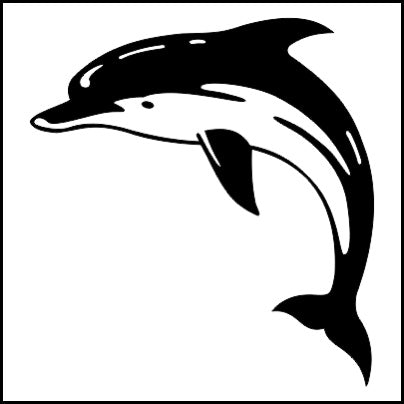 0535-Short-beaked Common Dolphin