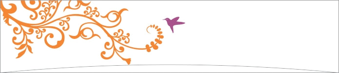 Orange Flourish with Hummingbird Border Design