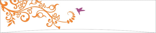 Orange Flourish with Hummingbird Border Design