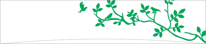 Green Branch with Birds Border Design