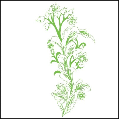 0694-Delicate Flowery Plant Painting