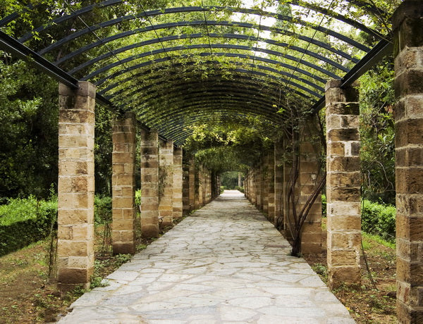 Serene Garden Walkway