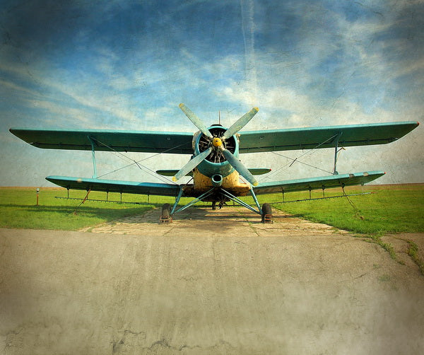 Vintage Biplane at Rest