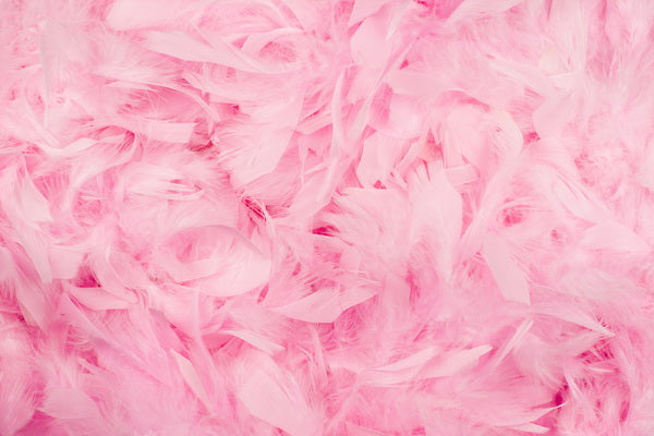 Soft Pink Feathers