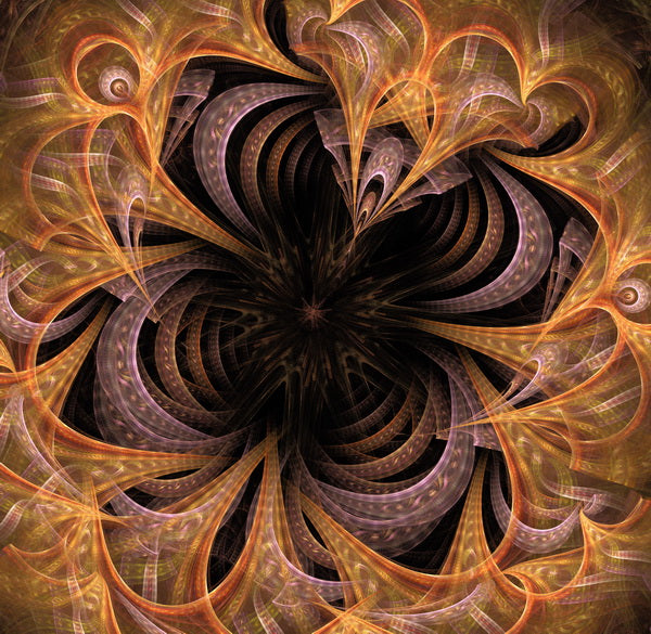 Fractal Vortex