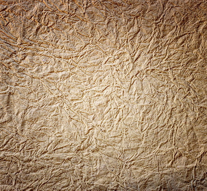 Textured Parchment