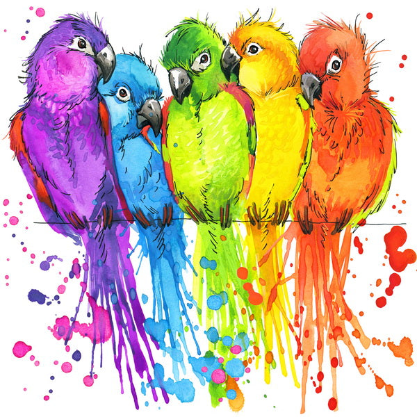 Rainbow Parrots